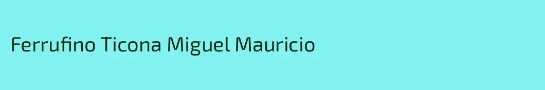 Ferrufino Ticona Miguel Mauricio